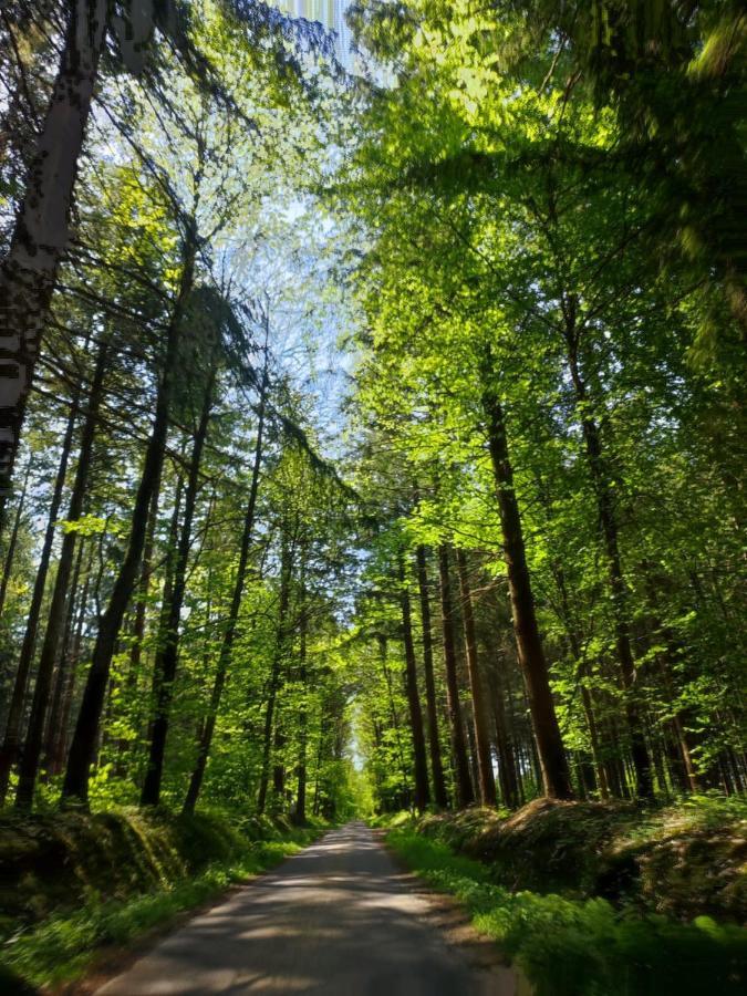Gite Les Tongs Des Pres, Au Coeur Du Parc Normandie Maine Livaie Extérieur photo